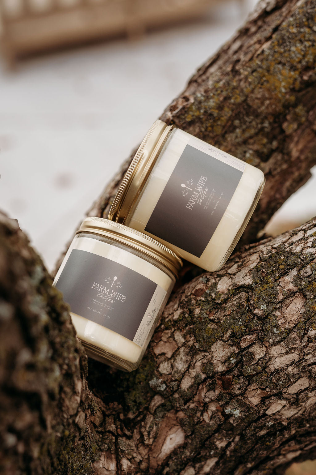 Pure Beef Tallow- Small